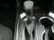 2024 Chevrolet Traverse Limited LT Cloth